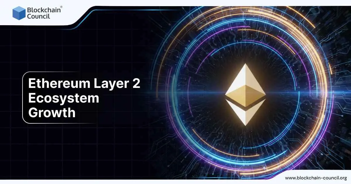 Top 5 Ethereum Layer 2 Solutions Dominating Crypto in 2026